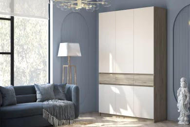 Шкаф Бостон ШК-002