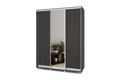Шкаф-купе Роланд 3-х створчатый с 1 зеркалом Р672