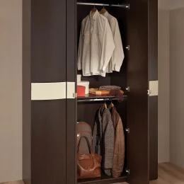 Шкаф для одежды и белья Амели 555