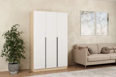 Шкаф Денали распашной 1200 3-х дверный