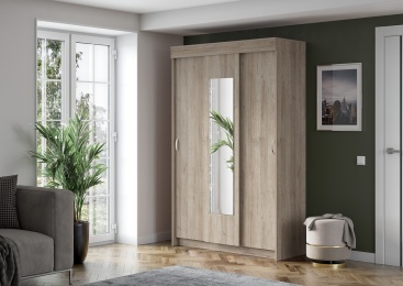 Шкаф-купе Бассо